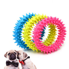 Rubber Teeth Chew Training