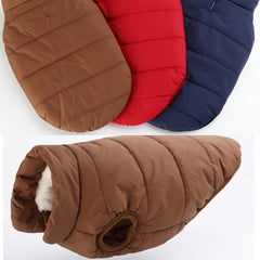 Winter Dog Clothe