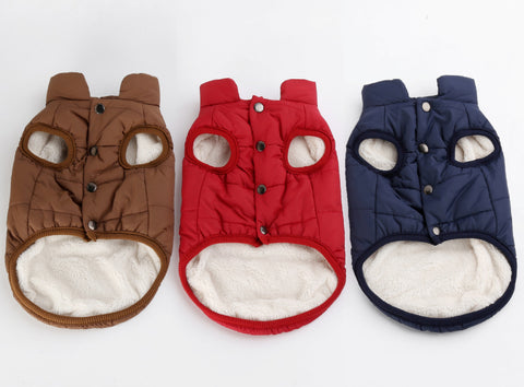 Winter Dog Clothe