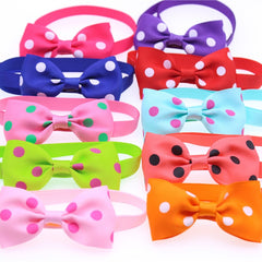 Adorable Puppy Bow Ties