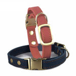 Fancy Leather Dog Collar