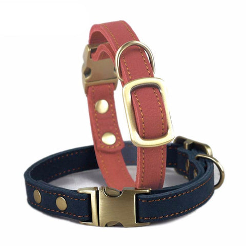 Fancy Leather Dog Collar