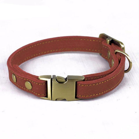 Fancy Leather Dog Collar