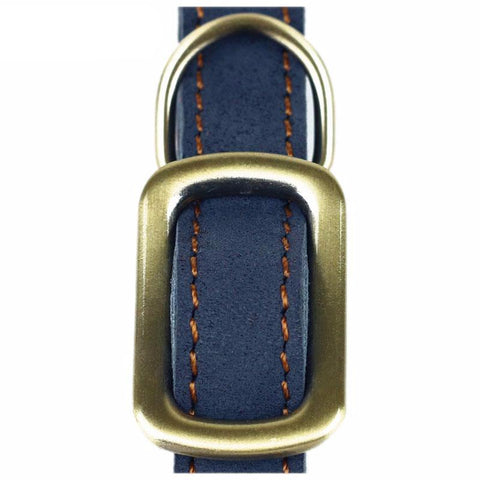 Fancy Leather Dog Collar