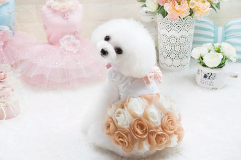 Rosy Puppy Princess Dress