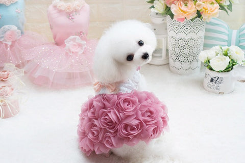 Rosy Puppy Princess Dress