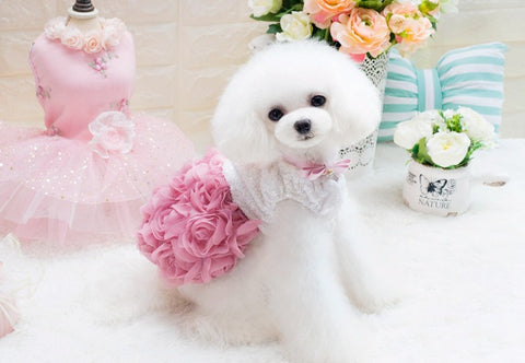 Rosy Puppy Princess Dress