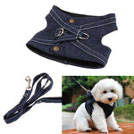 Cool Puppy Vest Leash