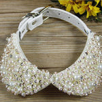 Fashion Bling Rhinestones Pearl Collar
