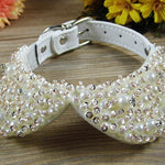 Fashion Bling Rhinestones Pearl Collar