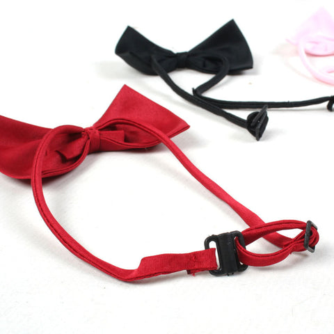 Gentleman Puppy Bow Tie