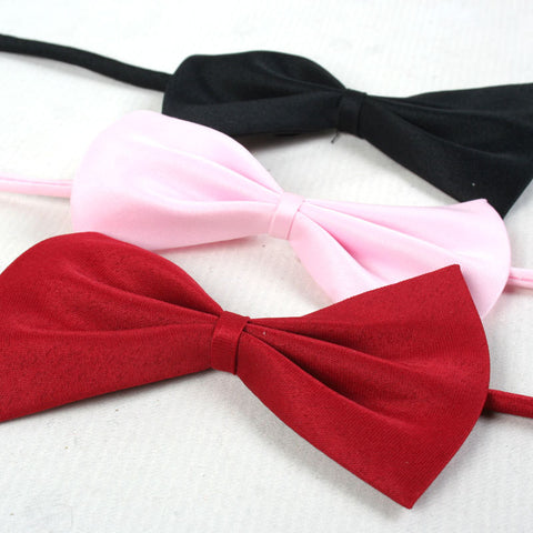 Gentleman Puppy Bow Tie