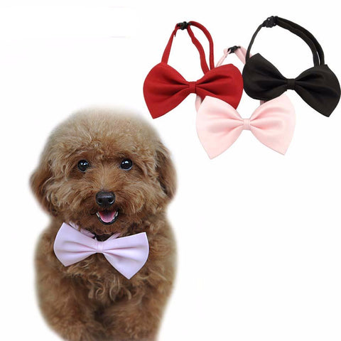 Gentleman Puppy Bow Tie