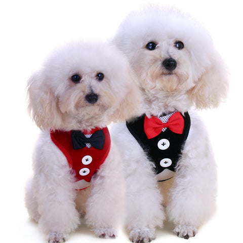 Adorable Bow Tie Vest Leash