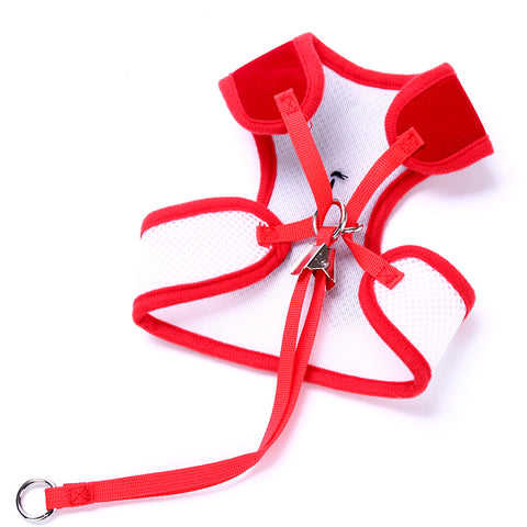 Adorable Bow Tie Vest Leash