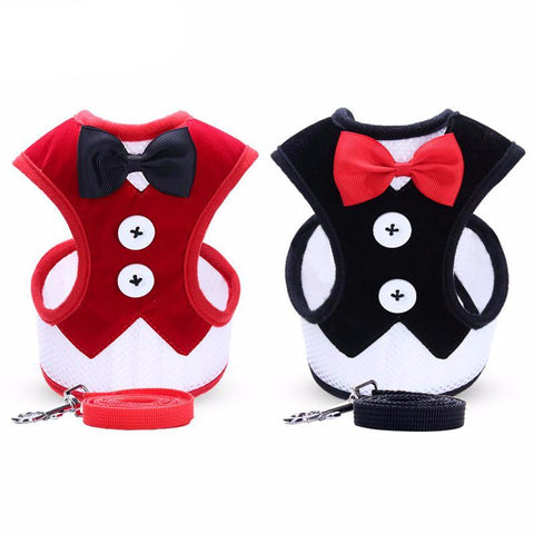 Adorable Bow Tie Vest Leash