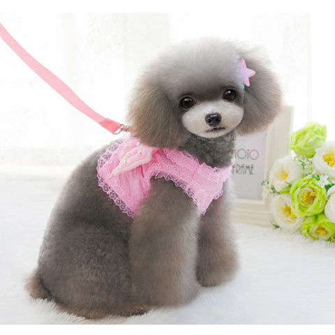 Cute Angel Pearl Leash