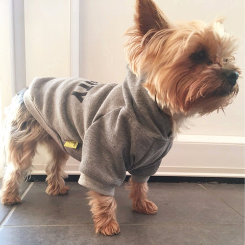 Cute Tiny Hoddy Jacket