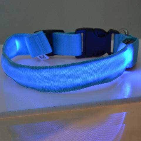 Luminous Fluorescent Collar