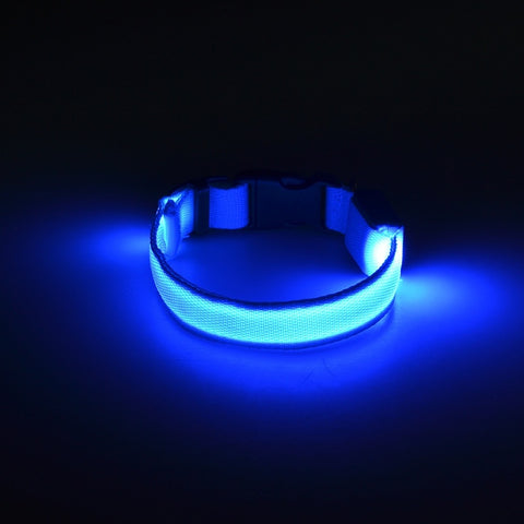 Luminous Fluorescent Collar