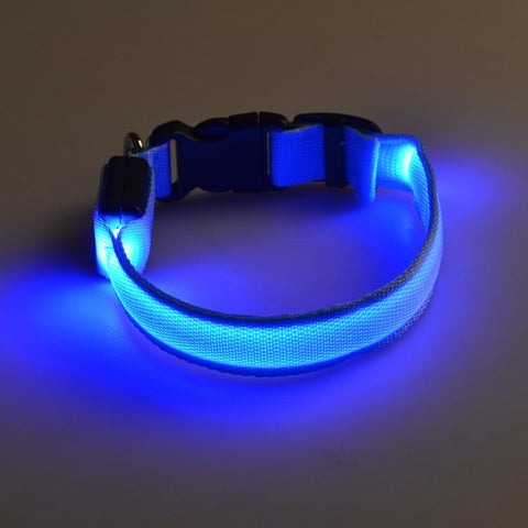 Luminous Fluorescent Collar