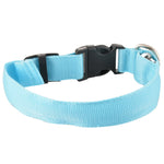Luminous Fluorescent Collar
