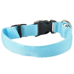 Luminous Fluorescent Collar