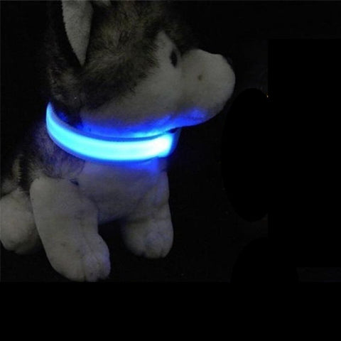 Luminous Fluorescent Collar