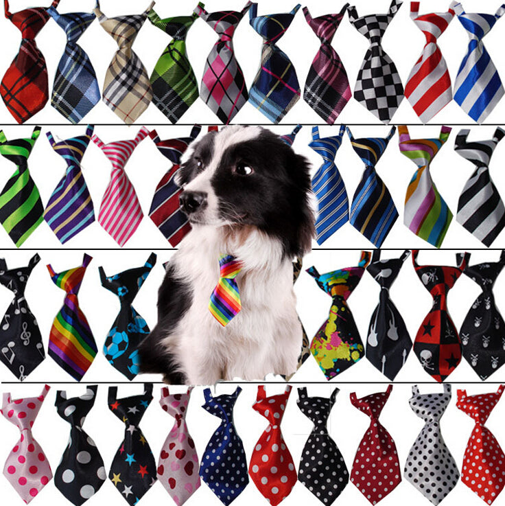 Cool Necktie Collar