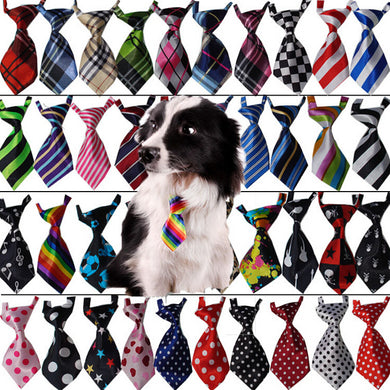 Cool Necktie Collar