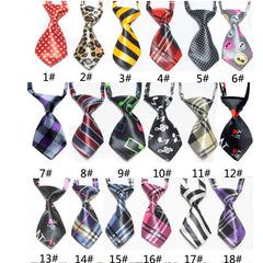 Cool Necktie Collar
