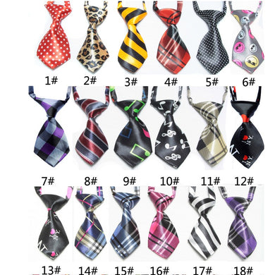 Cool Necktie Collar