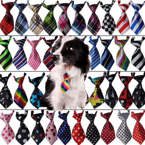 Cool Necktie Collar