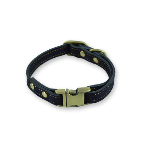 Fancy Leather Dog Collar