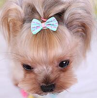 Adorable Puppy Hair Ribbon