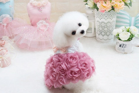Rosy Puppy Princess Dress
