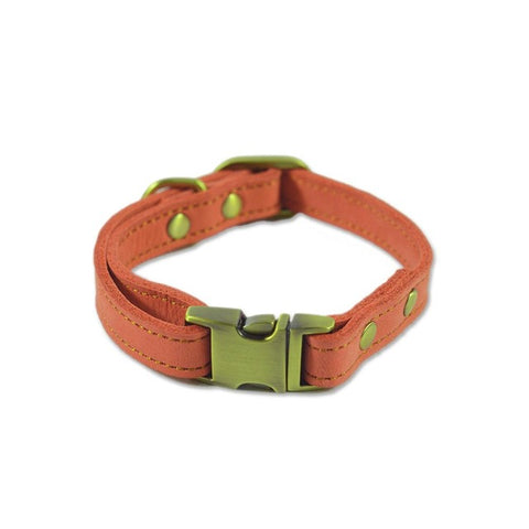 Fancy Leather Dog Collar