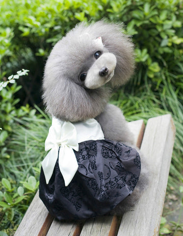 Korean Chic Puppy Dress